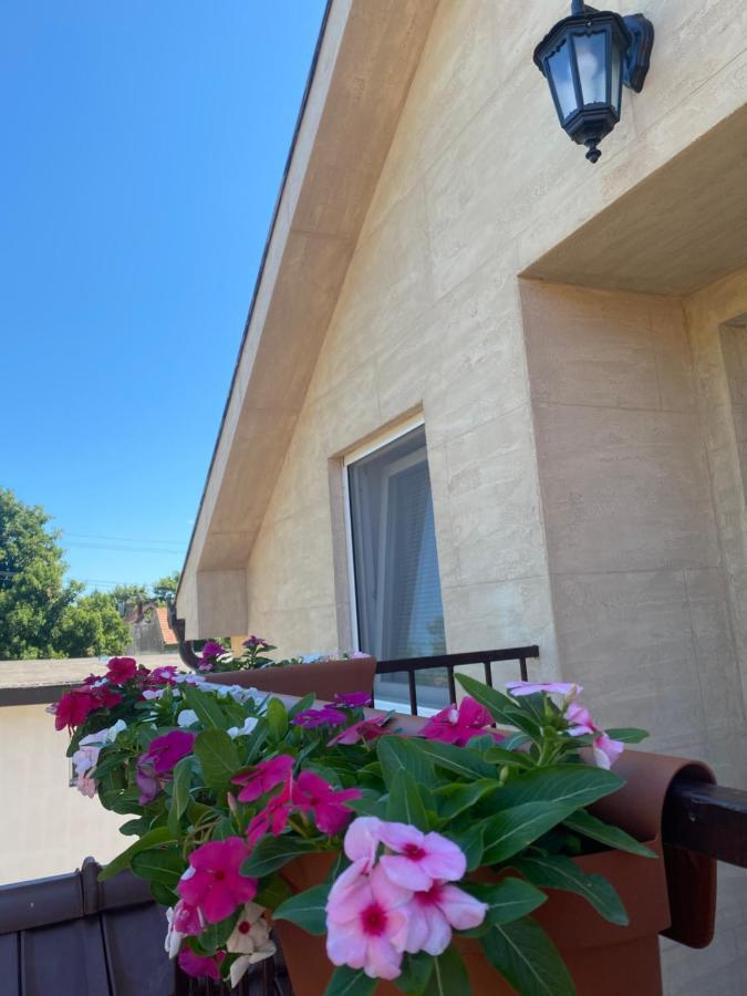 Omis Rooms Pančevo 외부 사진