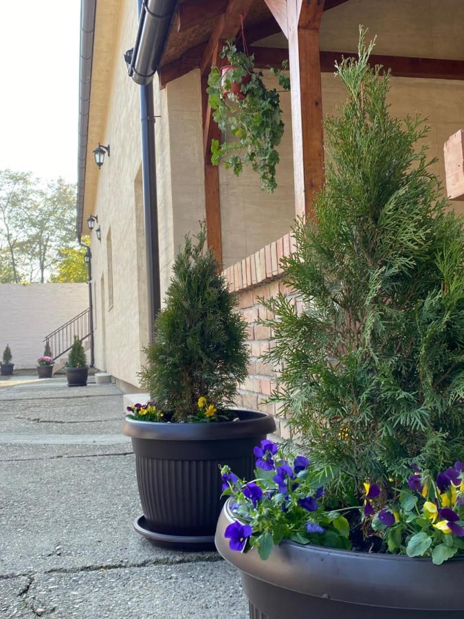 Omis Rooms Pančevo 외부 사진