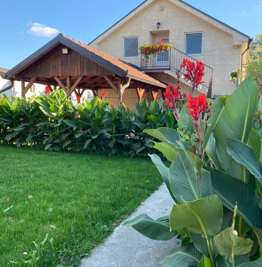 Omis Rooms Pančevo 외부 사진